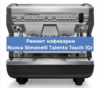 Чистка кофемашины Nuova Simonelli Talento Touch 1Gr от кофейных масел в Тюмени